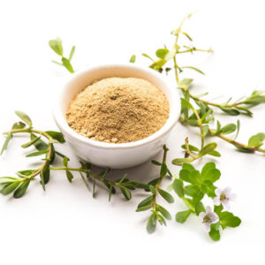 Bacopa Monnieri (Brahmi) Extract Powder