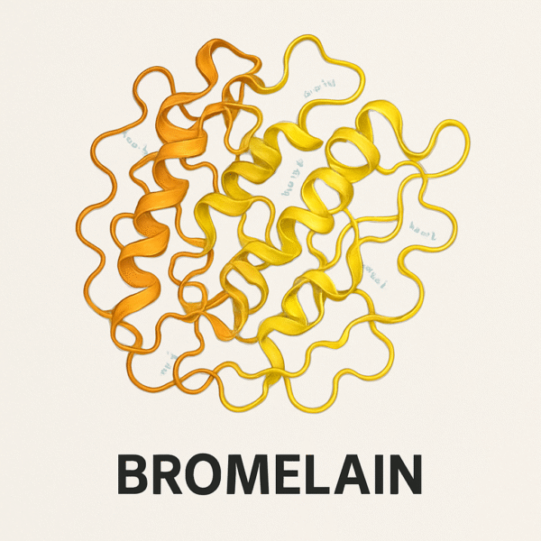Bromelain enzyme - Image 2
