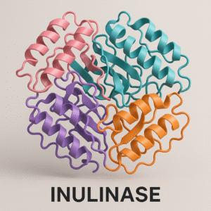 Inulinase enzyme