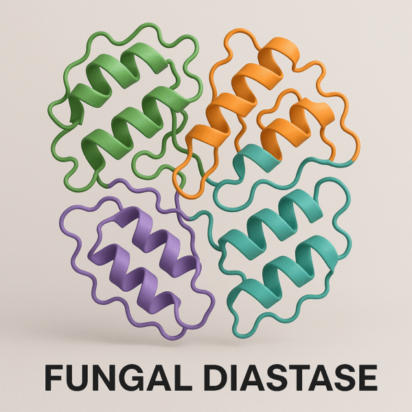 Fungal Diastase enzyme - Image 2