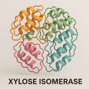 Xylose Isomerase enzyme