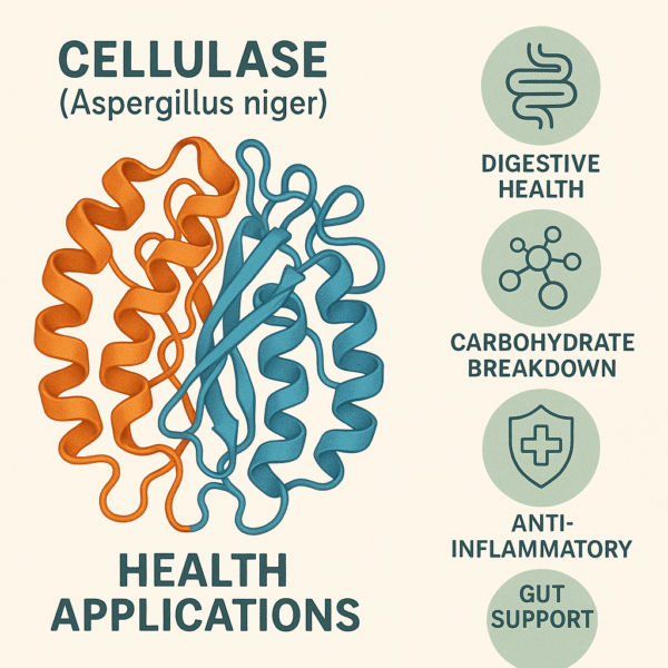 Cellulase (Aspergillus niger) 20,000 CU/g Powder - Image 2