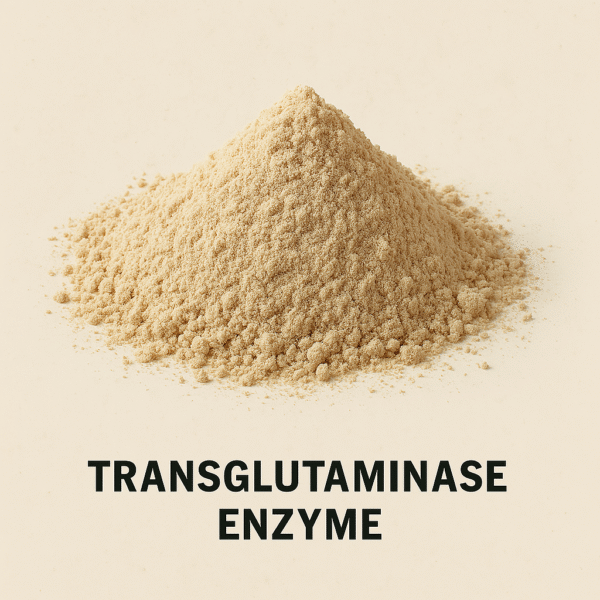 Transglutaminase enzyme - Image 2