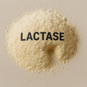 Lactase Enzyme