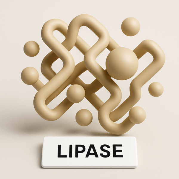 Lipase enzyme - Image 2