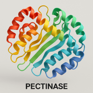 Copilot_20250727_031018