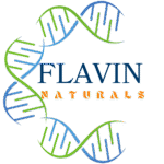 Flavin Logo