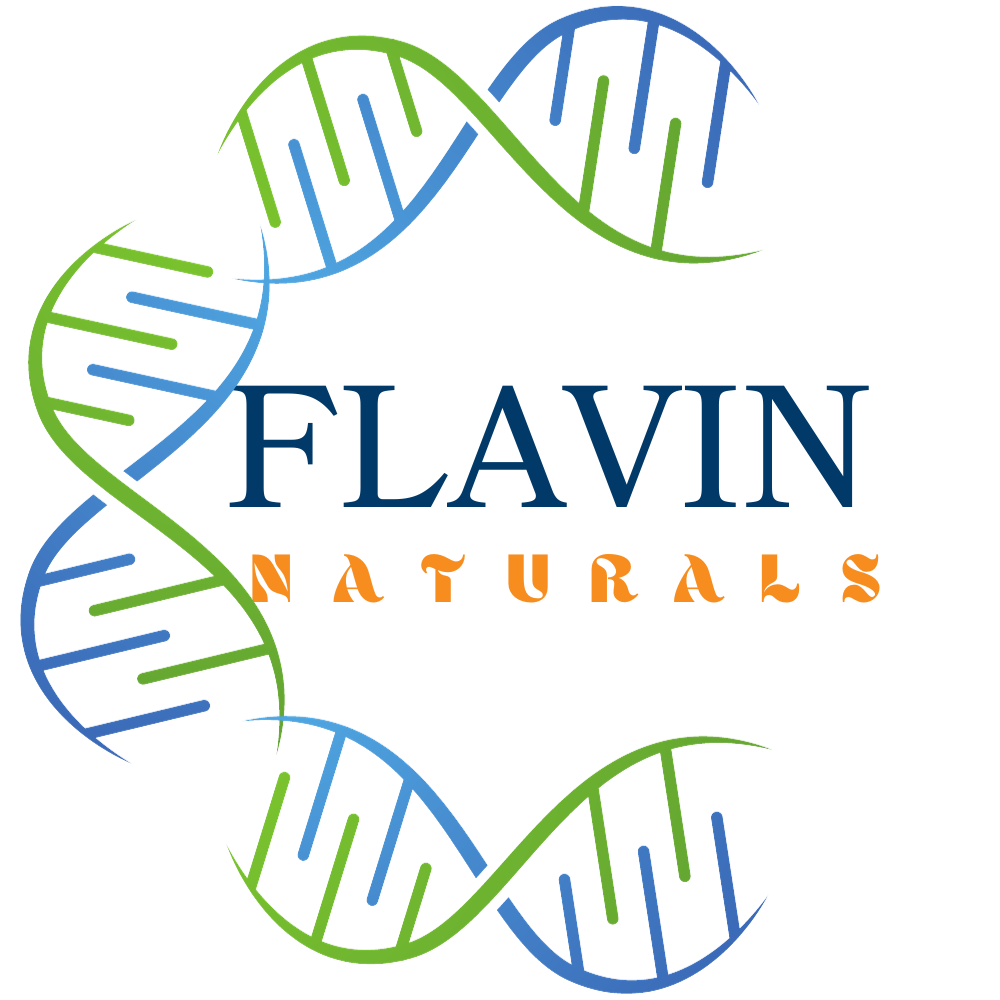 Flavin Logo PNG