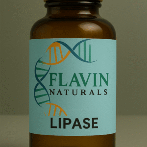 Lipase enzyme