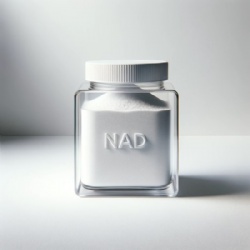 β-Nicotinamide Adenine Dinucleotide (NAD+)