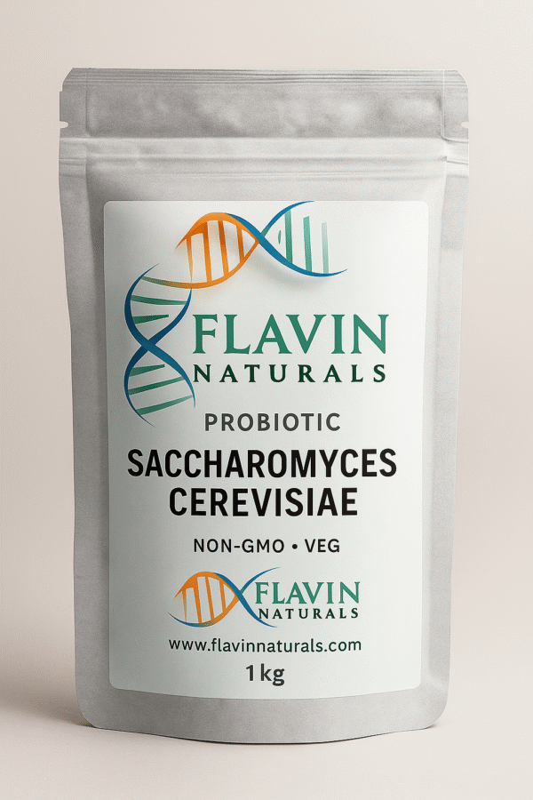 SACCHAROMYCES CEREVISIAE
