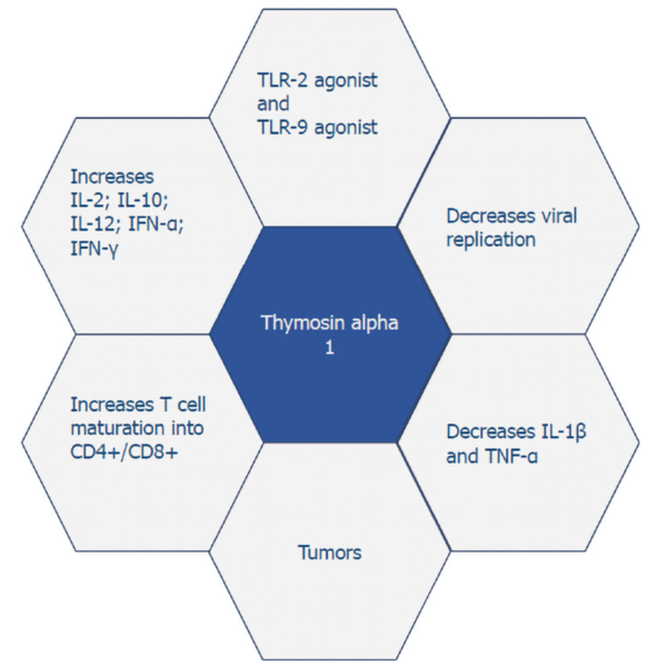 Thymosin Alpha 1 (α1) Peptide - Image 3