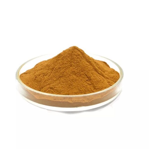 Angelica Archangelica Seed Extract Powder - Image 2