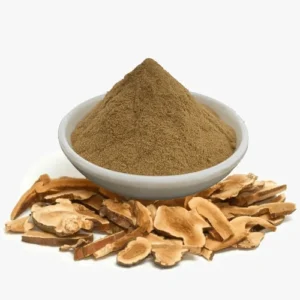 Astragalus Root Extract Powder