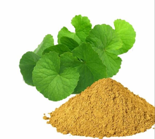 Bacopa Monnieri (Brahmi) Extract Powder - Image 2