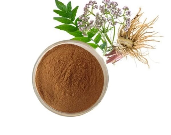 Actaea Racemosa (Black Cohosh) 2.5% Extract Powder - Image 2