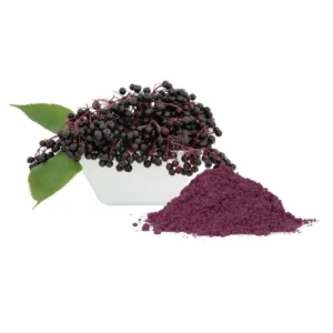 Elderberry (Sambucus) Extract Powder